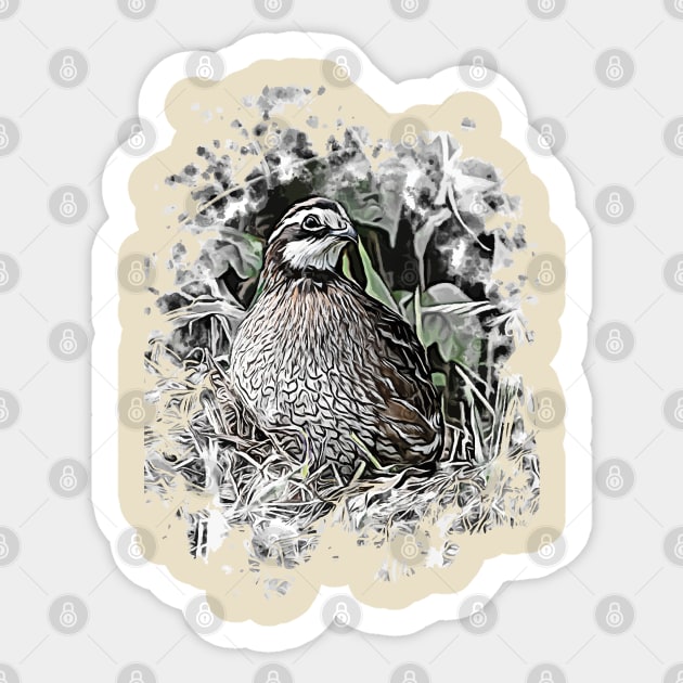 Northern Bobwhite Sticker by Ripples of Time